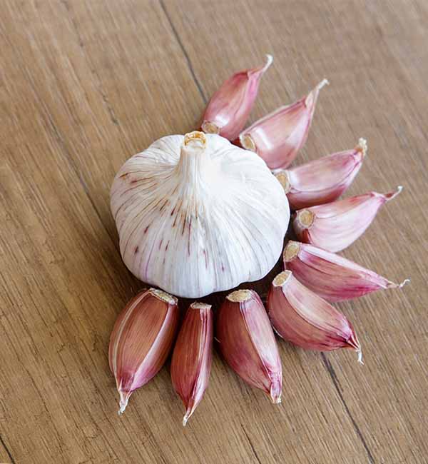 Aglio di Nubia - Azienda agricola Culcasi