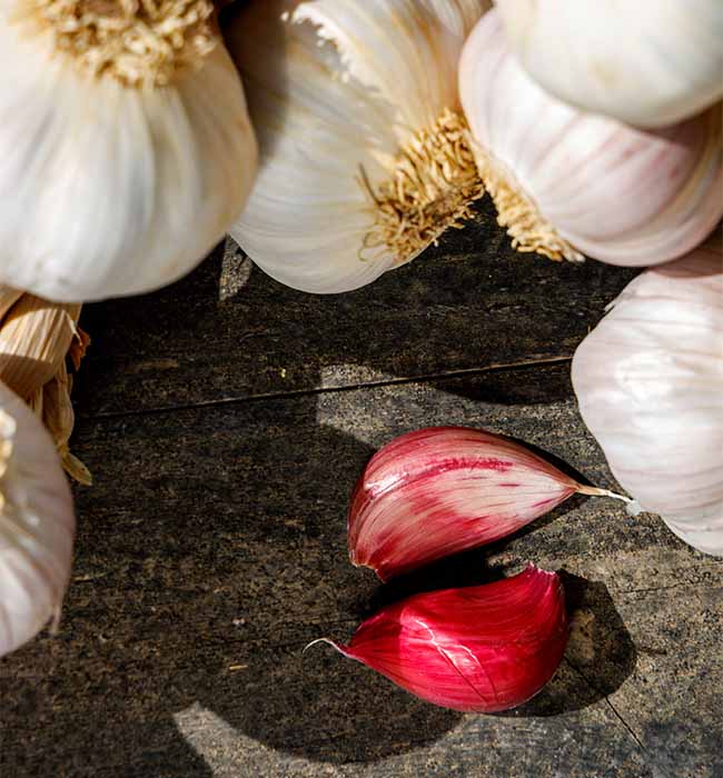 Aglio di Nubia - Azienda agricola Culcasi
