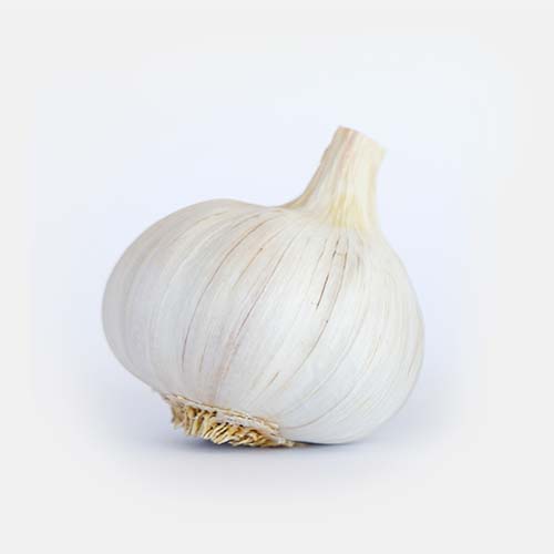 Fiorone - Aglio di Nubia