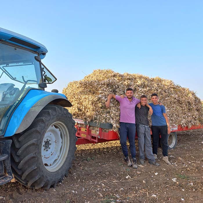 Come coltiviamo l’aglio rosso, Aglio di Nubia - Azienda agricola Culcasi